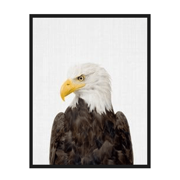 Eagle Poster