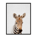Zebra Nursery Wall Decor